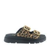 RAGAZZA 01020 ΛΕΟΠΑΡ 