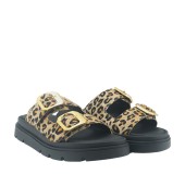 RAGAZZA 01020 ΛΕΟΠΑΡ 