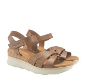 RAGAZZA 0350 ΤΑΜΠΑ 