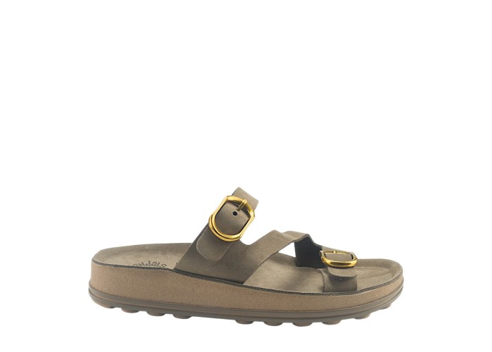 FANTASY 365 MARTA BROWN 