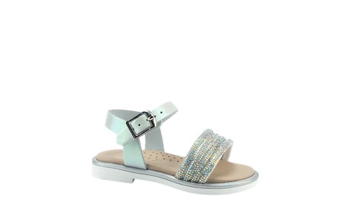 SCARPY 564-ΑΚ26 ΙΡΙΔΙΖΟΝ 