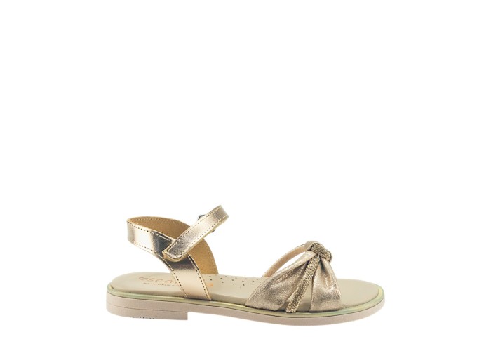 SCARPY 70-ΑΚ26 ΧΑΛΚΟΣ SCARPY 70-ΑΚ26 ΧΑΛΚΟΣ