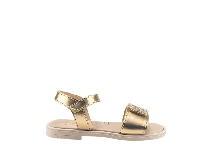 SCARPY 71-ΑΚ26 ΧΑΛΚΟΣ 