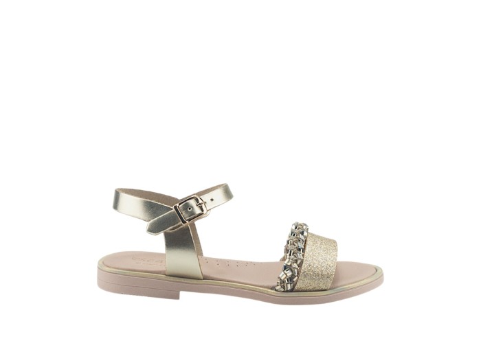 SCARPY 77-ΑΚ26 ΧΡΥΣΟ 