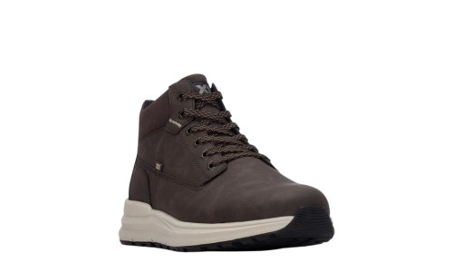 XTI 146764 MARRON  