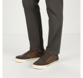 BEVERLY HILLS POLO CLUB BHM624106-0012 BROWN 