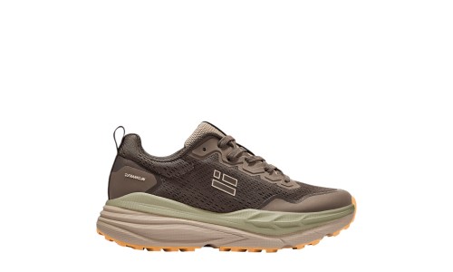 D.FRANKLIN 432001 BROWN 