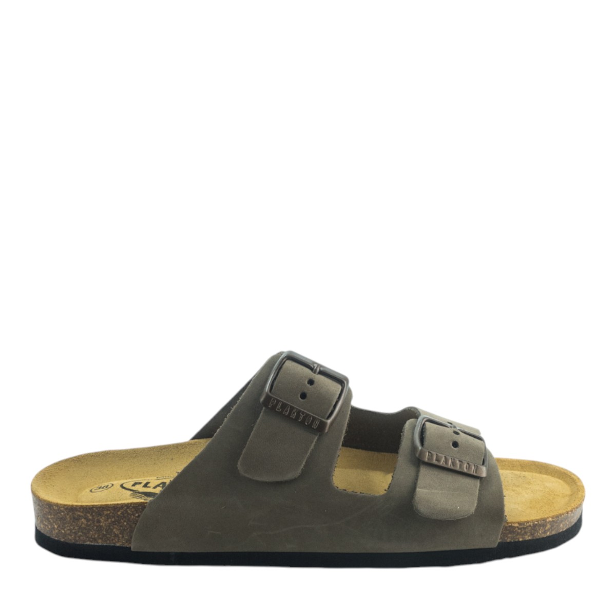 Image for Model: 16647