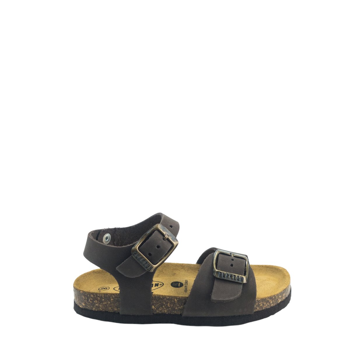 Image for Model: 16676