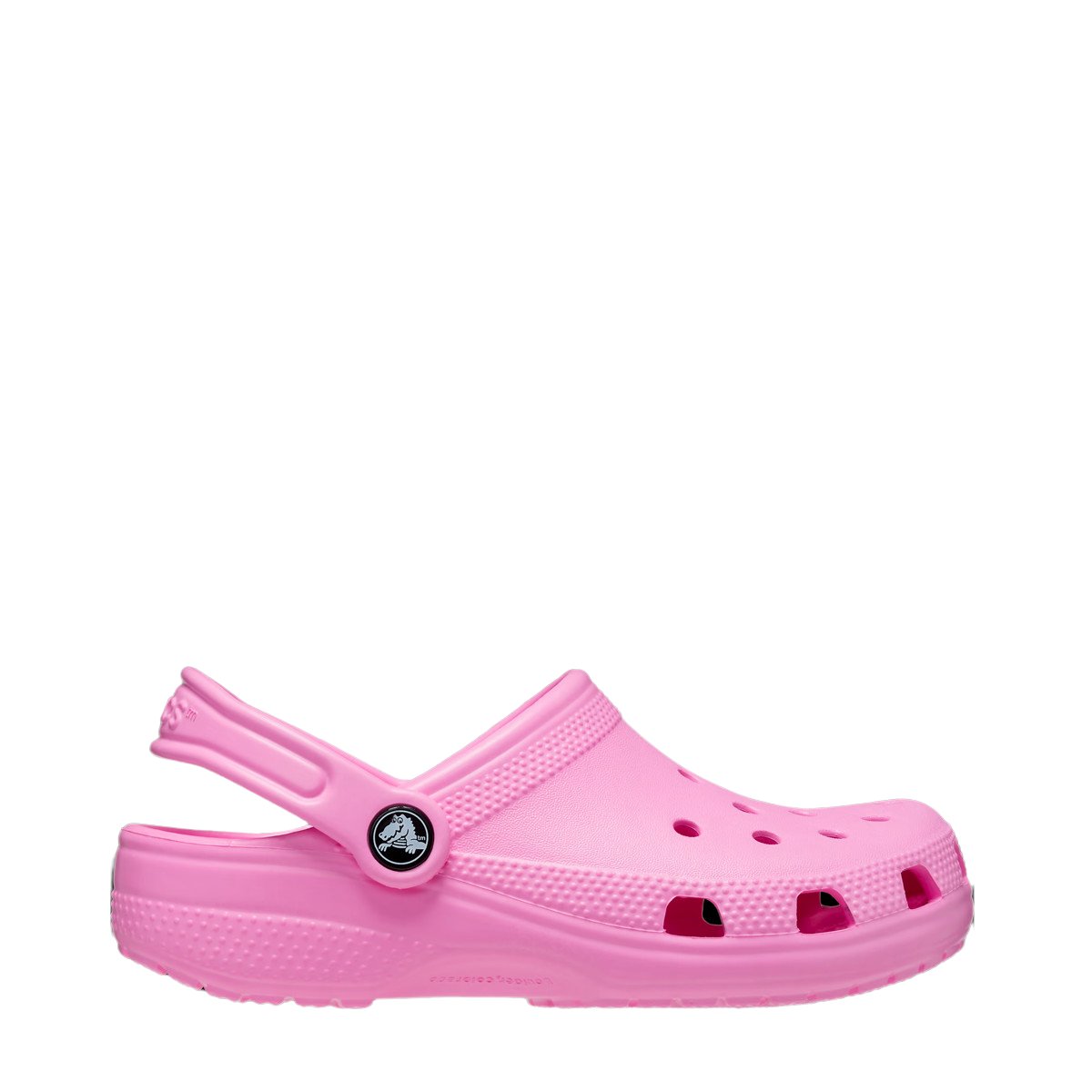 Image for Model: 17407