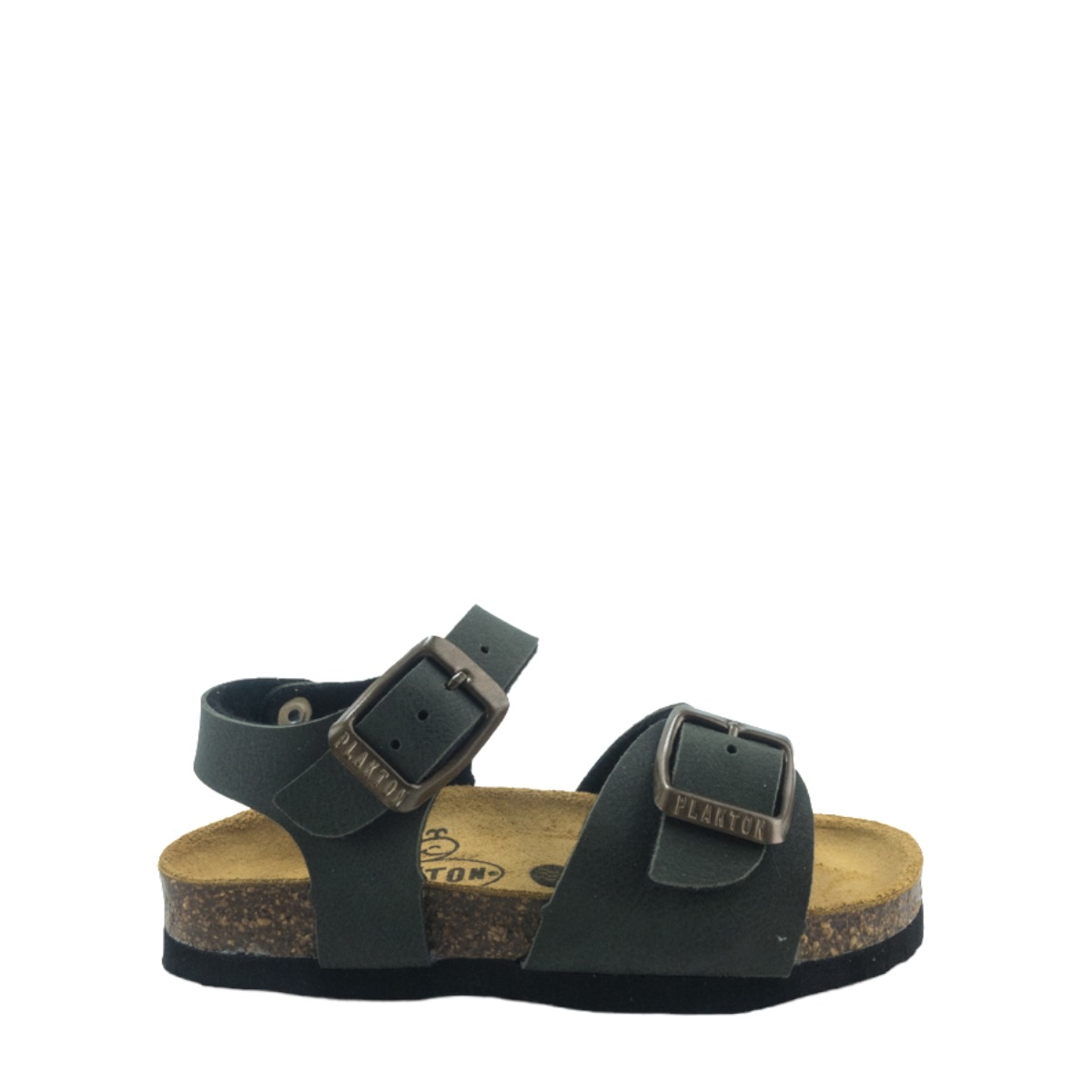 Image for Model: 20365