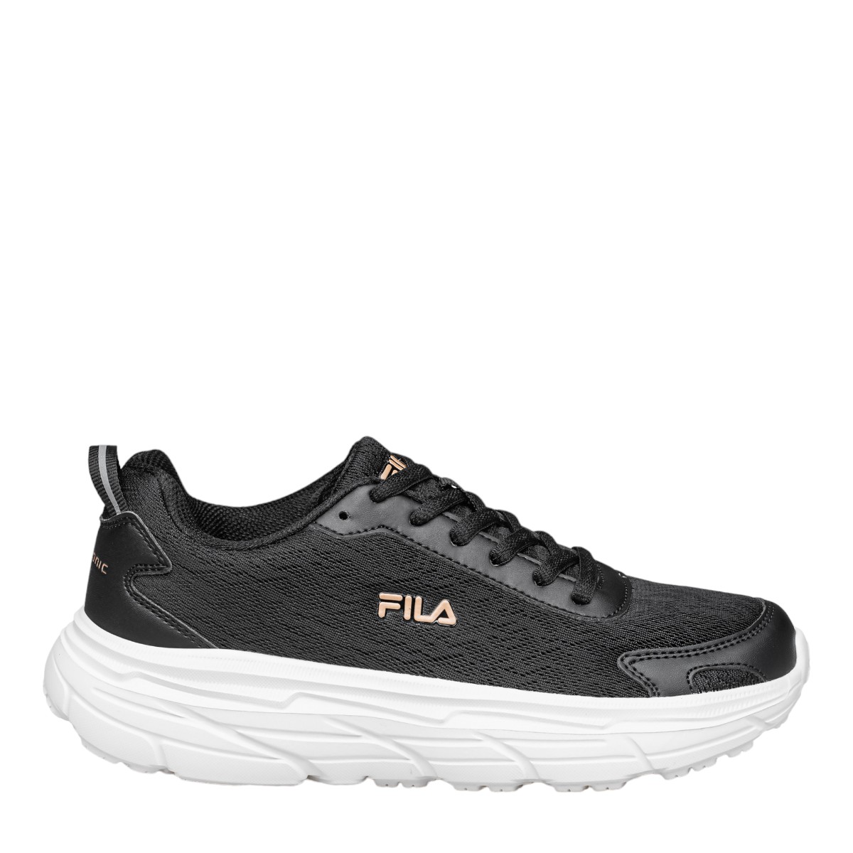Image for Model: 24022