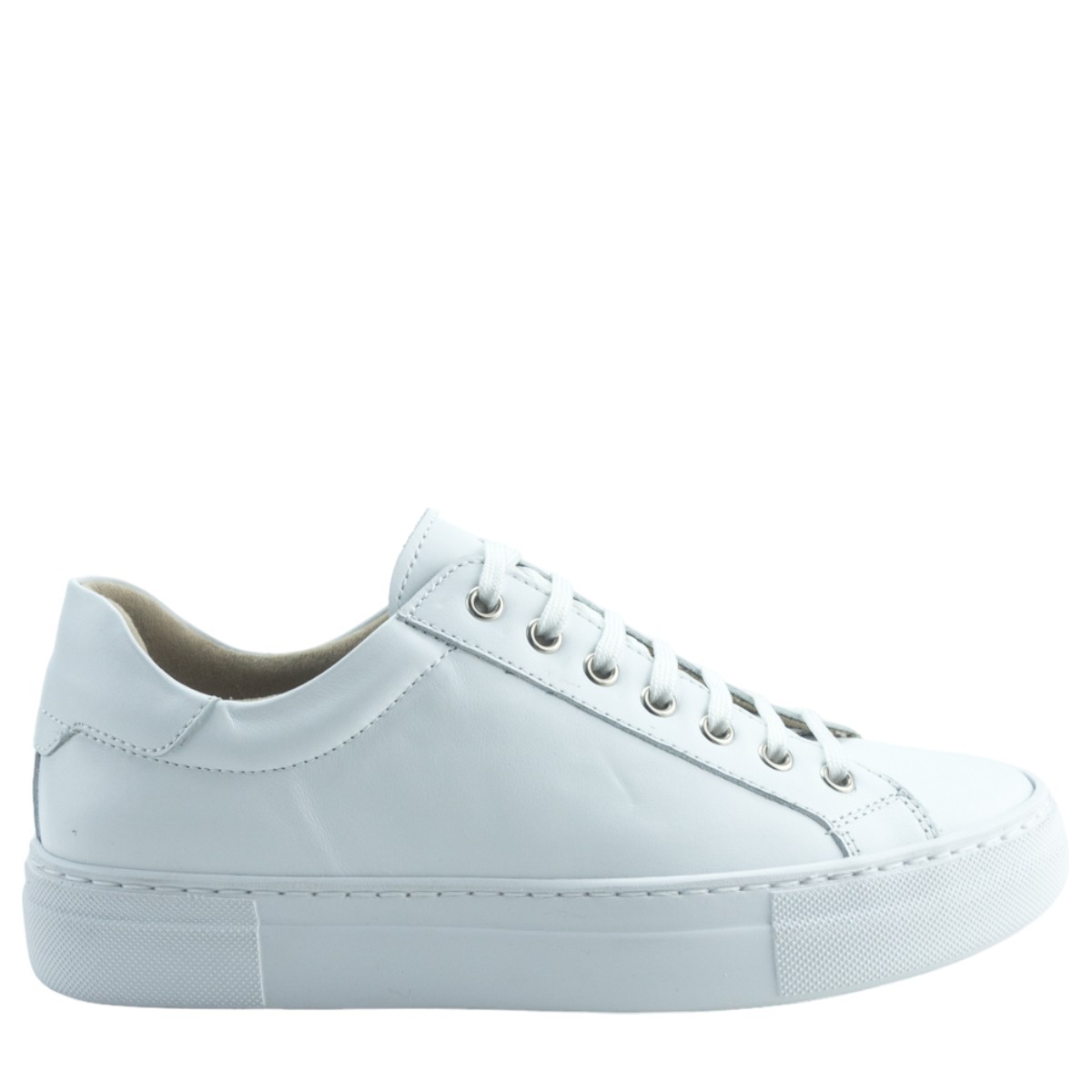 Image for Model: 24629