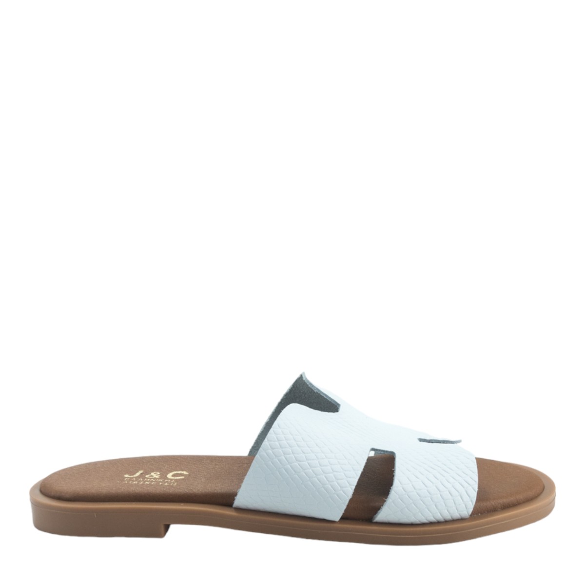 Image for Model: 24732
