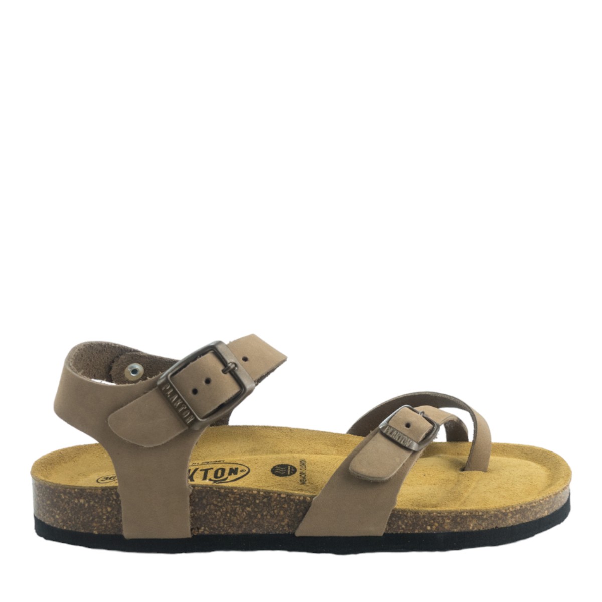 Image for Model: 25071