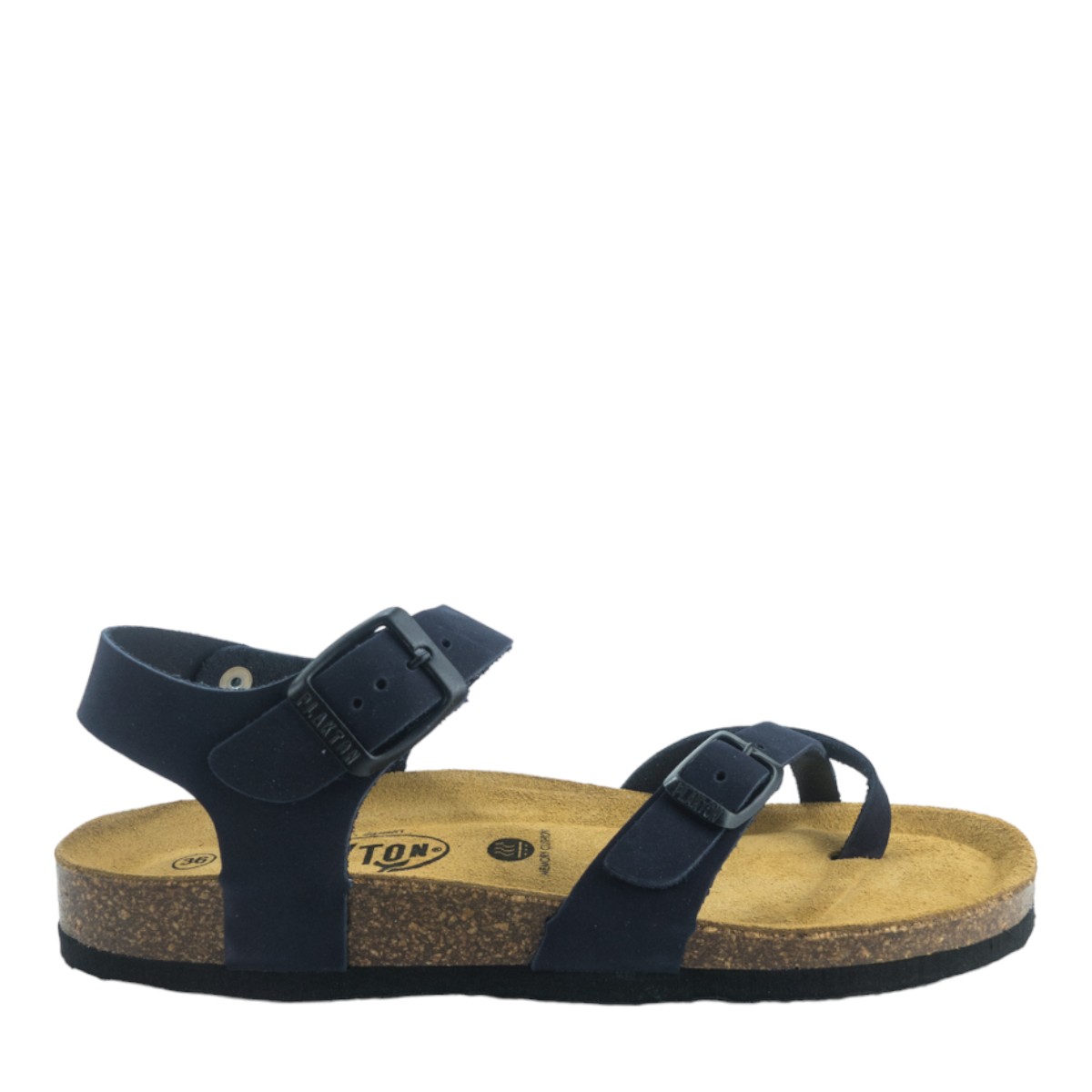 Image for Model: 25072