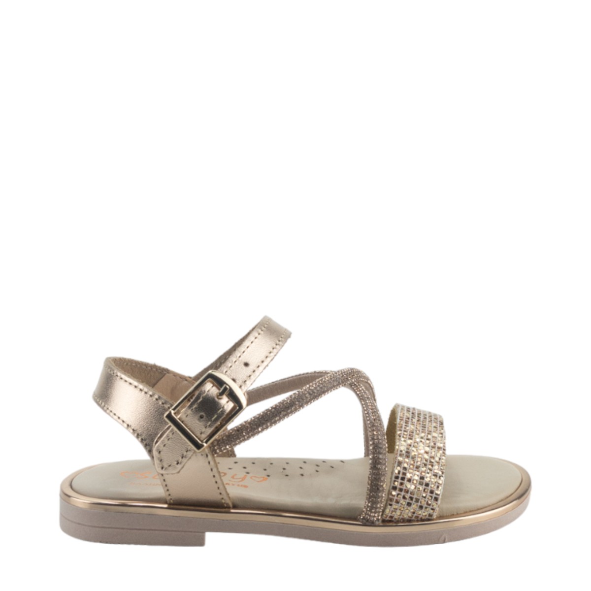 Image for Model: 25623