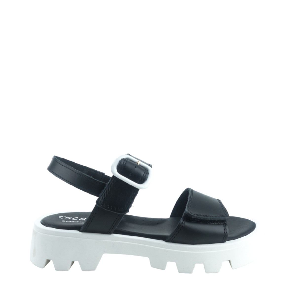 Image for Model: 25635