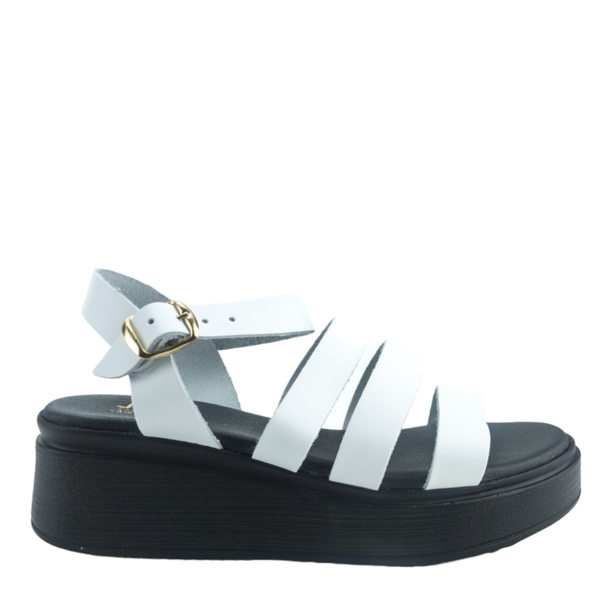 Image for Model: 25947