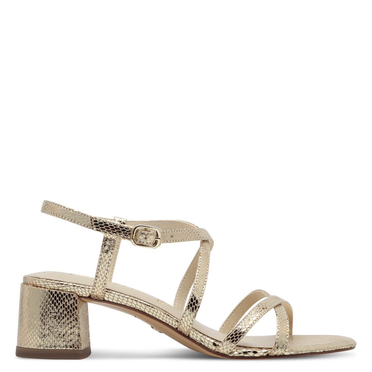 Image for Model: 29037