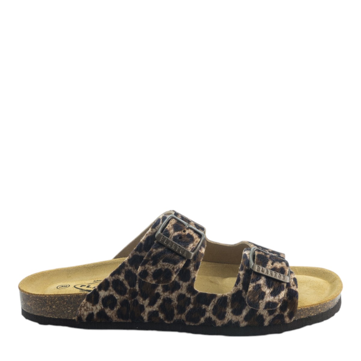 Image for Model: 29623