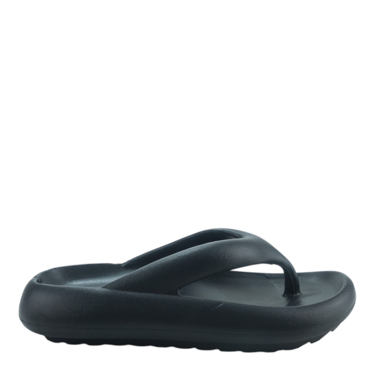 Image for Model: 29981