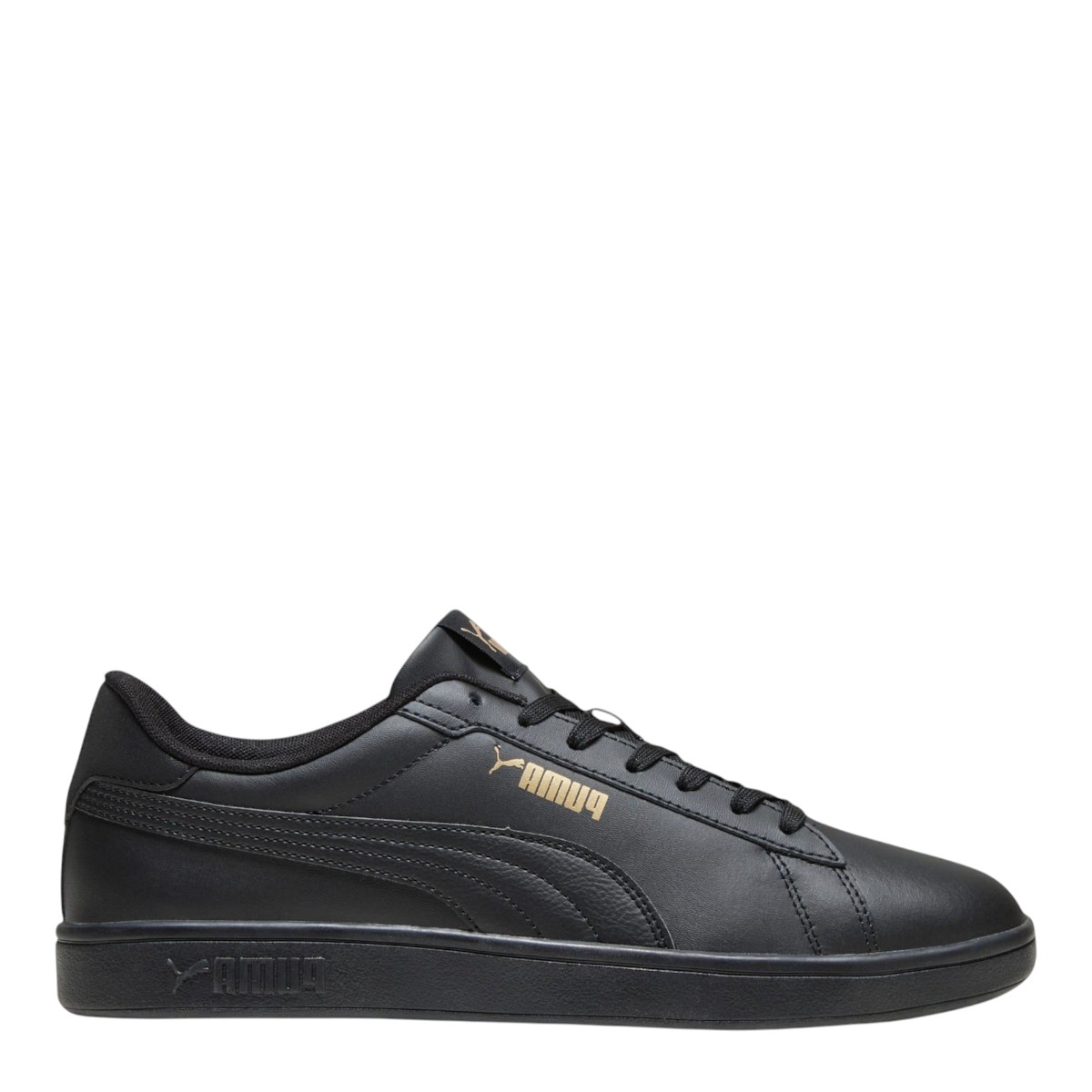 Image for Model: 31305