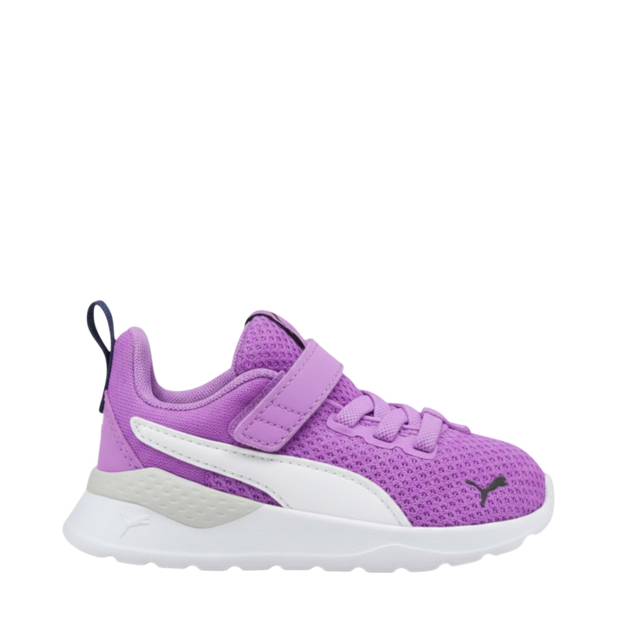 Image for Model: 33442