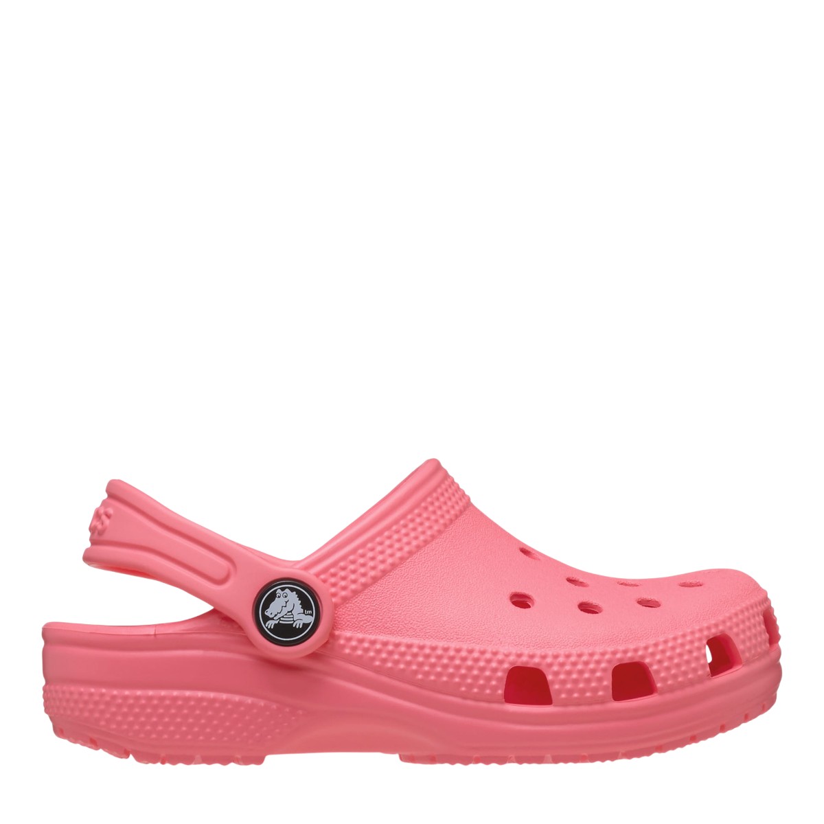 Image for Model: 33498