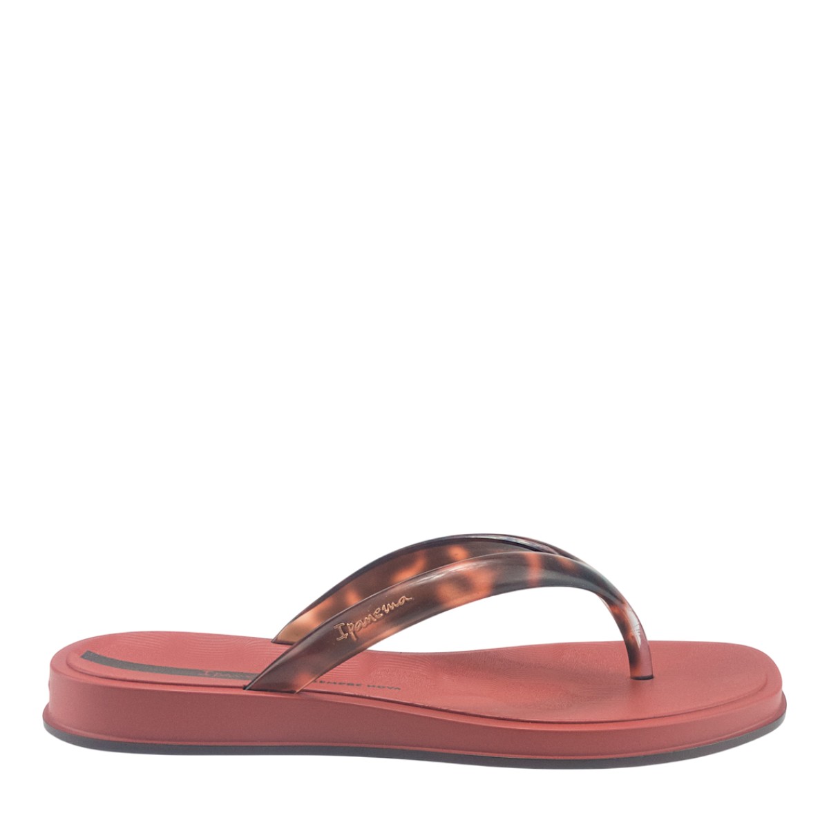 Image for Model: 33637