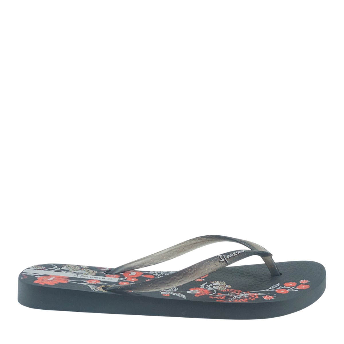 Image for Model: 33647