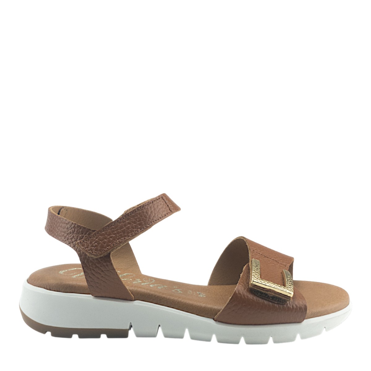 Image for Model: 33720