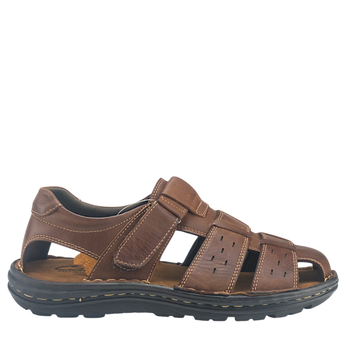 Image for Model: 34143