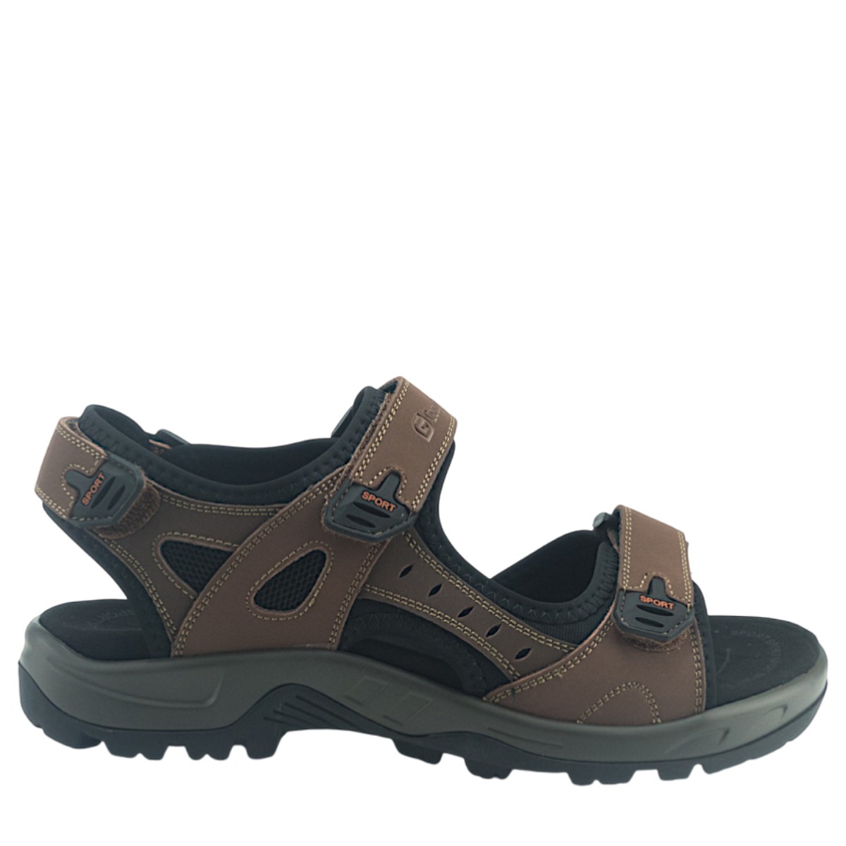 Image for Model: 34177