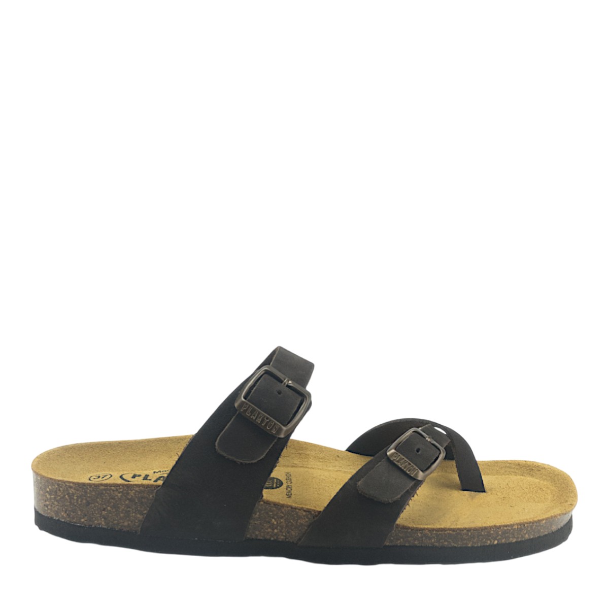 Image for Model: 34262