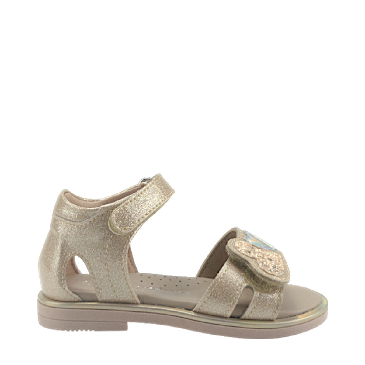 Image for Model: 34469